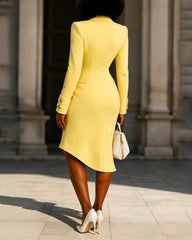 Double-breasted Long Sleeve Blazer Dress, Office Lady Style